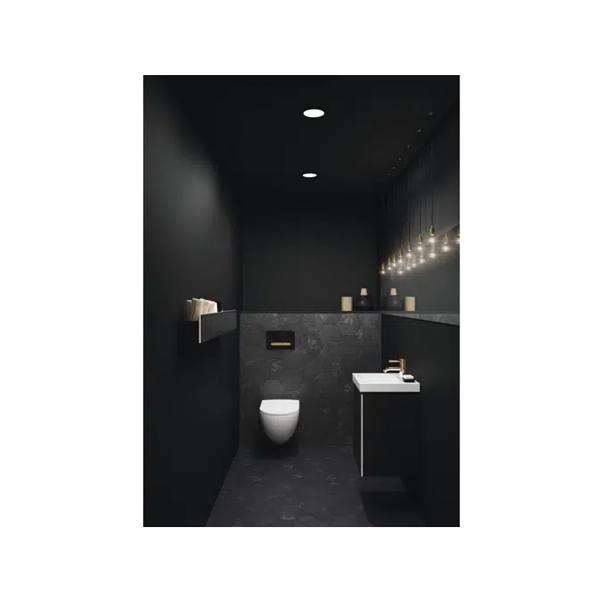 Geberit Sigma50 Black/Brass Button