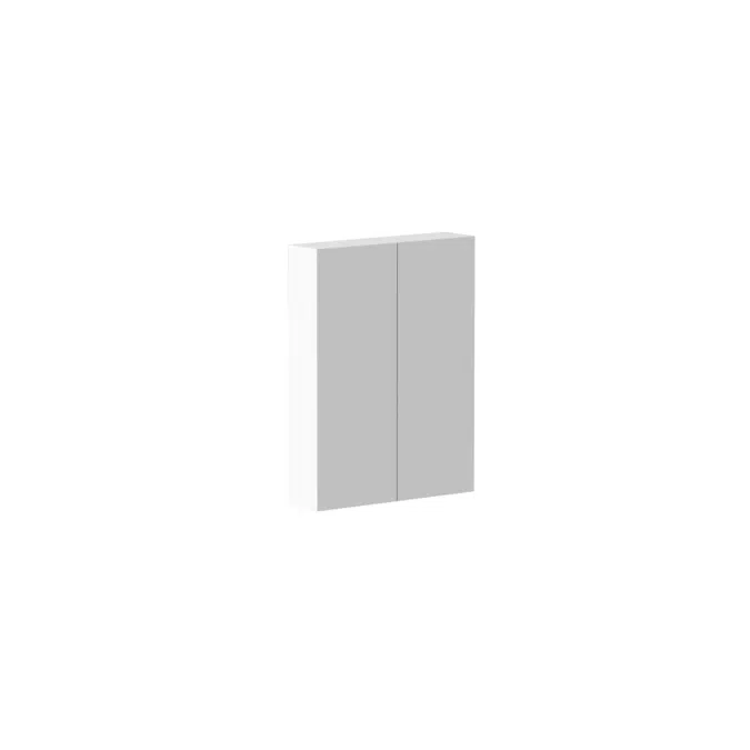 Posh Domaine 600mm x 800mm Shaving Cabinet Standard 2 Door