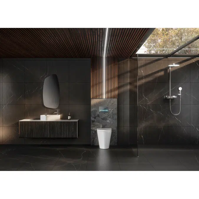 BIM objects - Free download! GROHE Rainshower SmartControl Shower ...