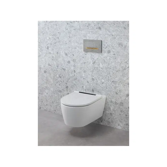 Geberit Sigma50 Dual Flush Button Concrete Look/Brass