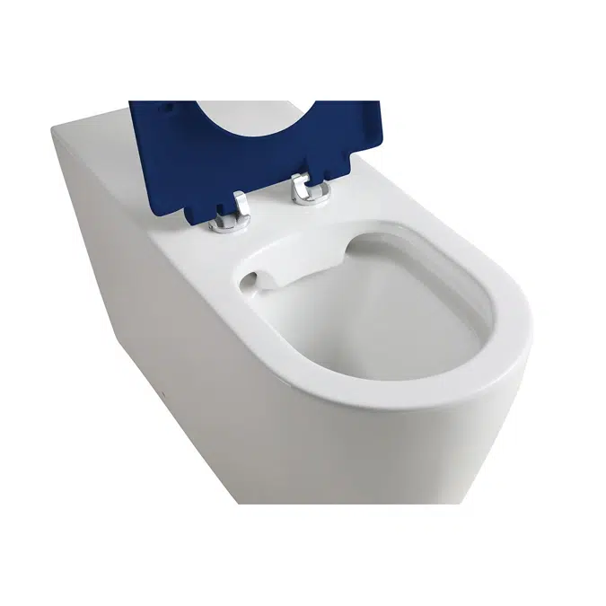 Wolfen 800 Back to Wall Rimless Inwall Toilet Suite with Single Flap Seat Blue, Backrest, Raised Height Button & Plate Blue, Hideaway+ Inwall Cistern (4 Star)