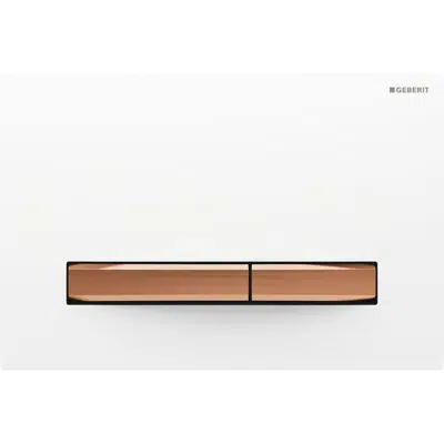 Image for Geberit Sigma50 Dual Flush Button White/Red Gold