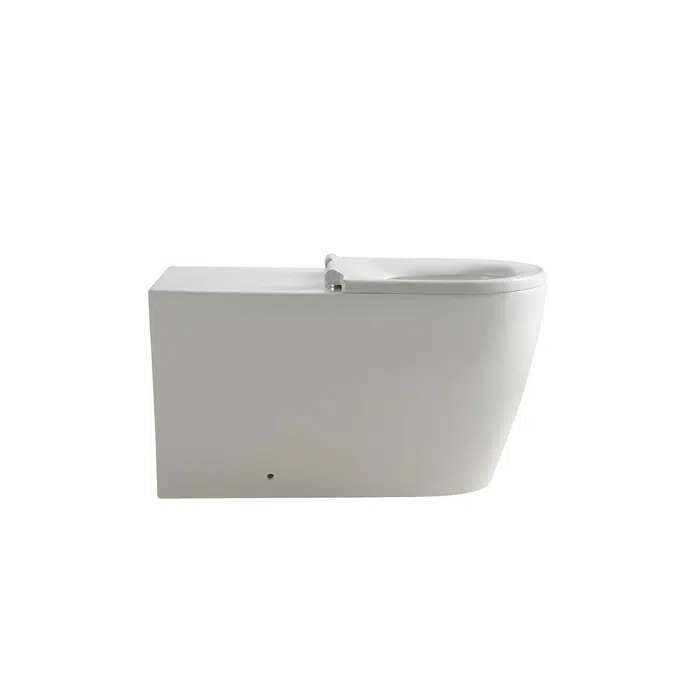 Wolfen 800 Back to Wall Rimless Inwall Toilet Suite with Single Flap Seat White, Backrest, Raised Height Button & Plate White, Hideaway+ Inwall Cistern (4 Star)