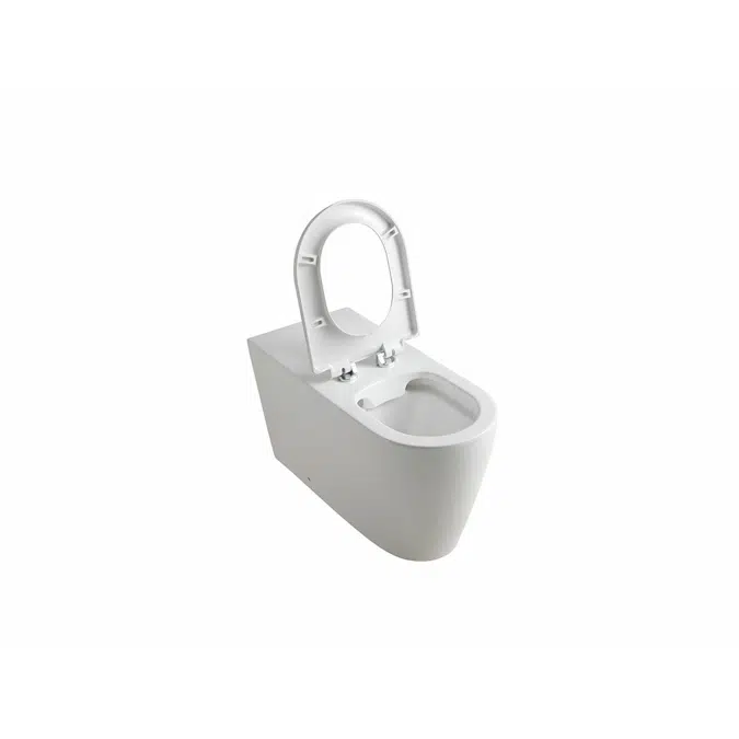 Wolfen 800 Back to Wall Rimless Inwall Toilet Suite with Single Flap Seat White, Backrest, Raised Height Button & Plate White, Hideaway+ Inwall Cistern (4 Star)