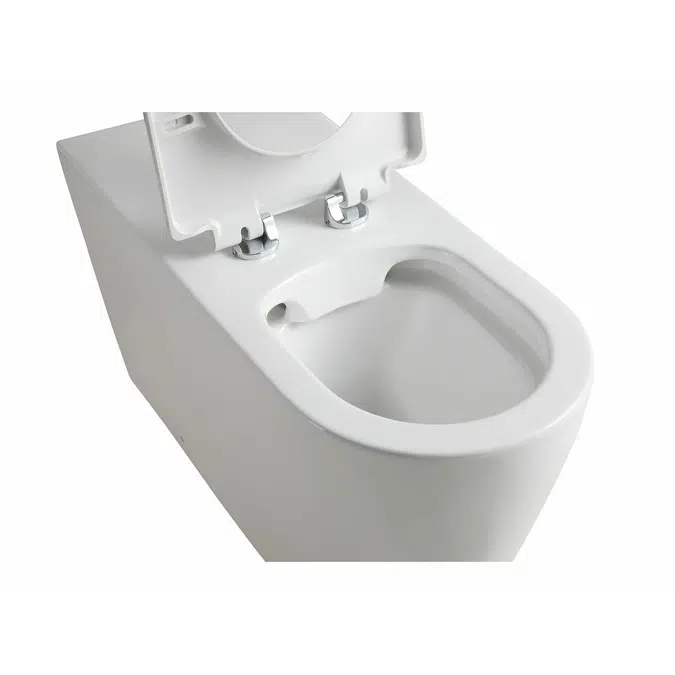 Wolfen 800 Back to Wall Rimless Inwall Toilet Suite with Single Flap Seat White, Backrest, Raised Height Button & Plate White, Hideaway+ Inwall Cistern (4 Star)