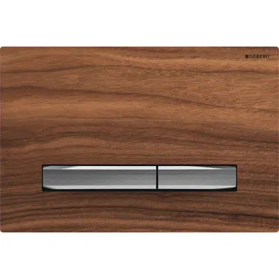 Image for Geberit Sigma50 Dual Flush Button Wood/Chrome