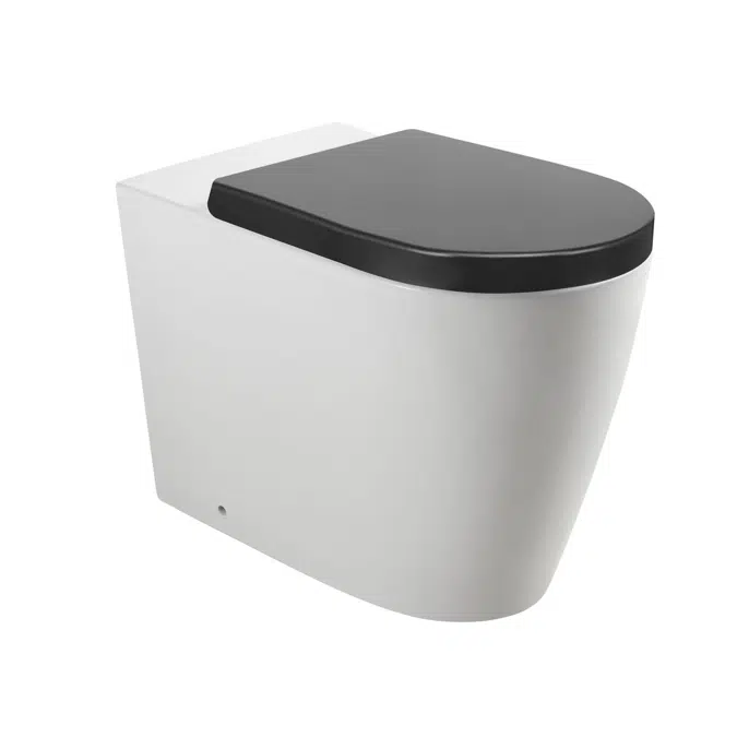Wolfen Ambulant Back To Wall Inwall Rimless Toilet Suite Double Flap Seat Grey (4 Star)