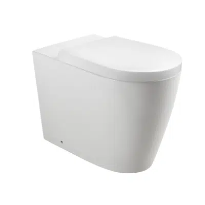 Wolfen Ambulant Back To Wall Rimless Pan with Double Flap Seat White (4 Star) 이미지