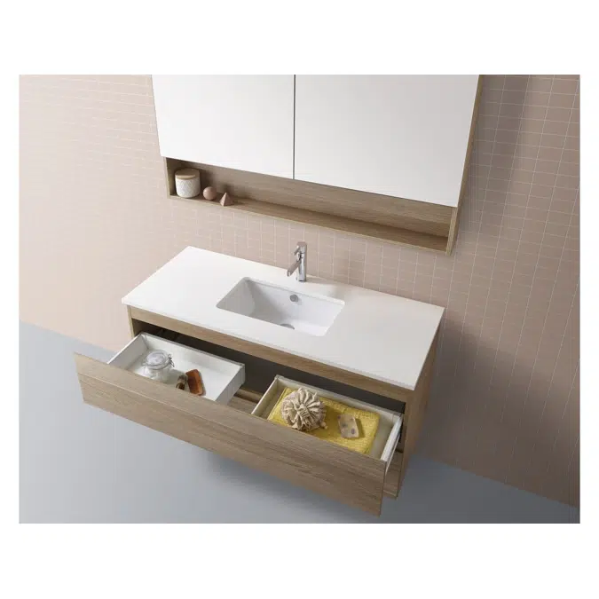 Posh Domaine Plus 600mm x 1000mm Shaving Cabinet Open Shelf 2 Door