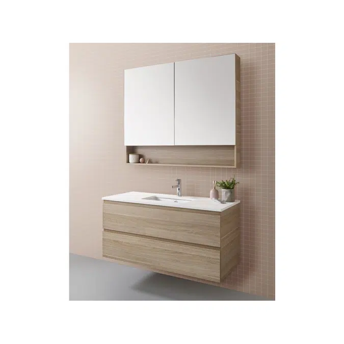 Posh Domaine Plus 600mm x 1000mm Shaving Cabinet Open Shelf 2 Door
