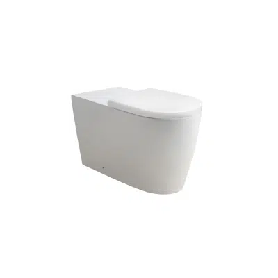 Wolfen 800 Back To Wall Rimless Pan with Double Flap Seat White (4 Star) 이미지