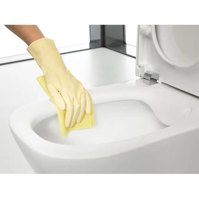 Roca The Gap Rimless Back to Wall Pan Soft Close Quick Release (4 Star)