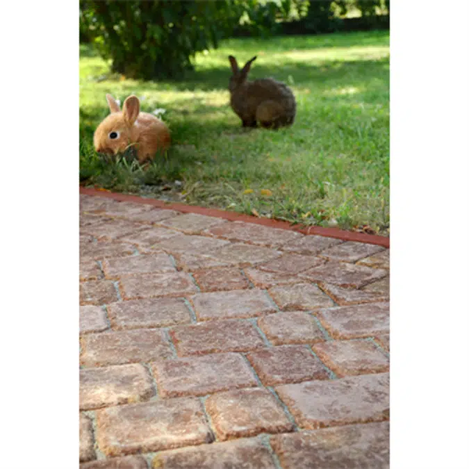 Antique flooring