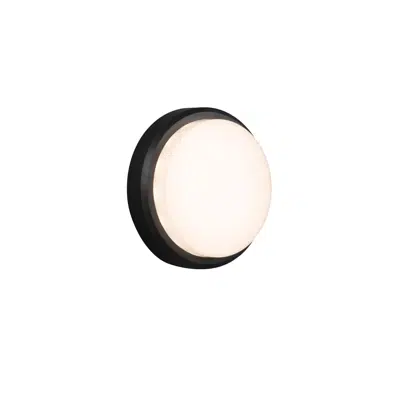 Obrázek pro TOM 220 Dark grey wall lamp