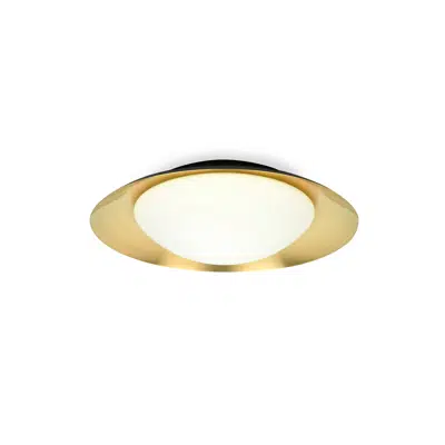 Image for SIDE 390 Black and gold ceiling lamp 15W