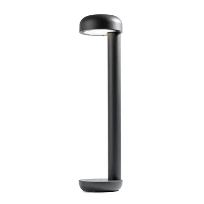 Image for GROW 650 Dark grey beacon