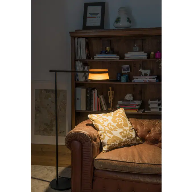 LOOP Black floor lamp