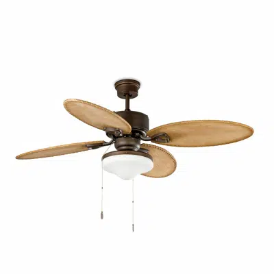 Image for LOMBOK L Brown fan