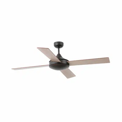 Image pour MALLORCA L Ventilateur rouille