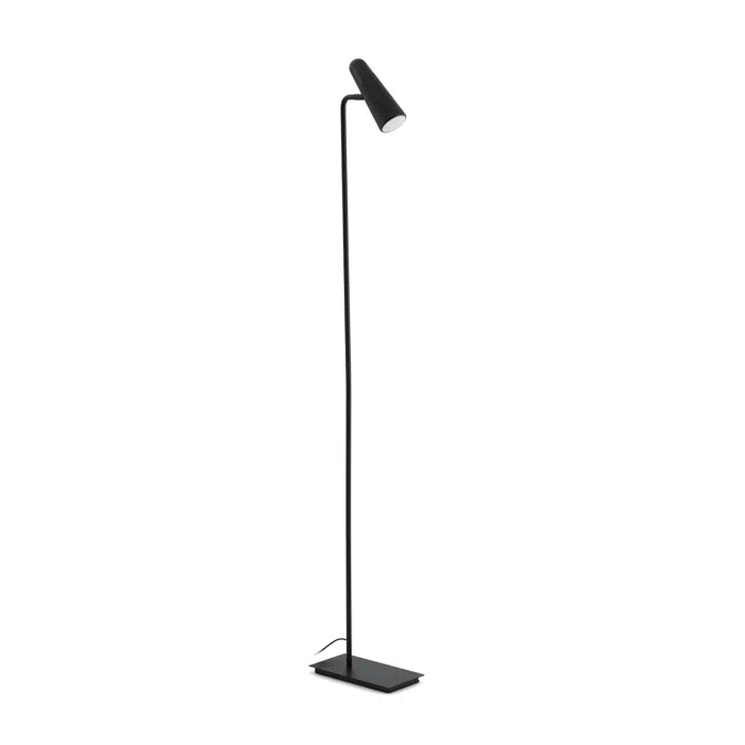 LAO Black floor lamp