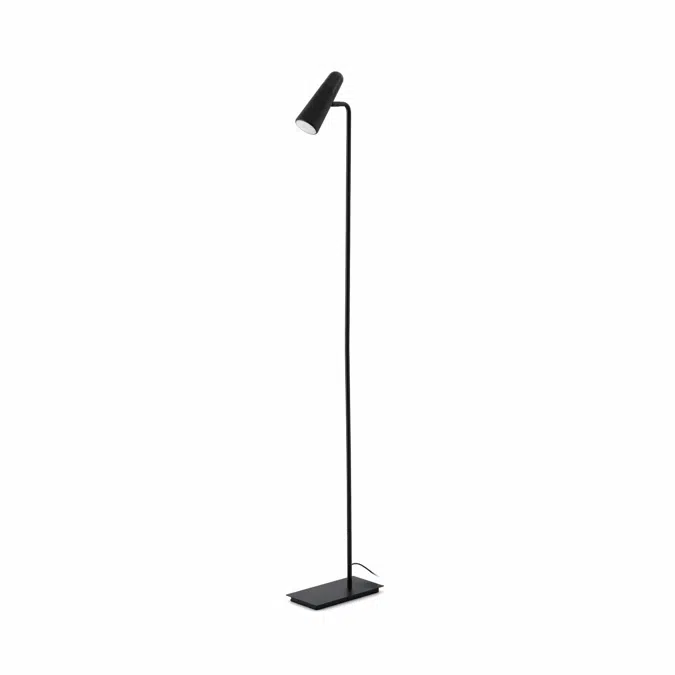 LAO Black floor lamp