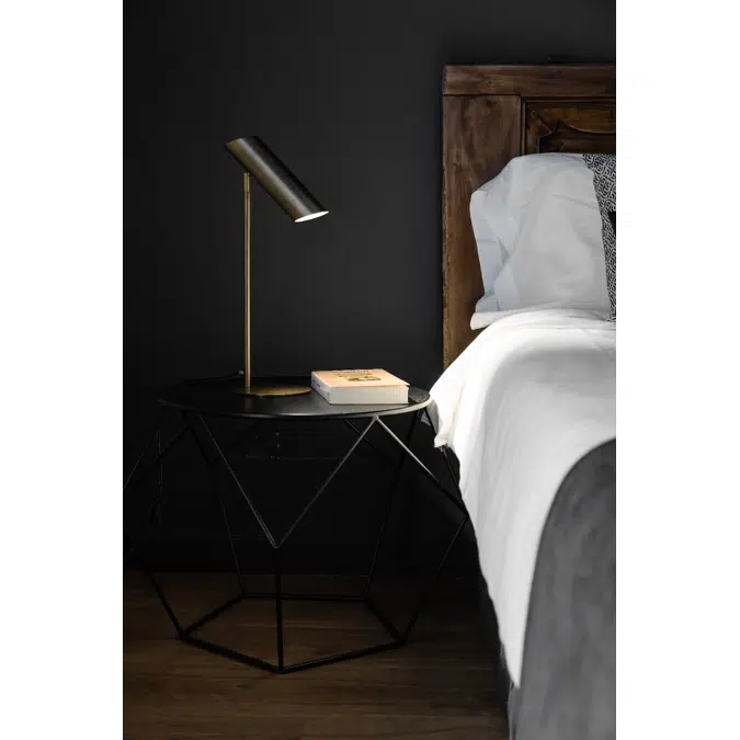 LINK Bronze table lamp