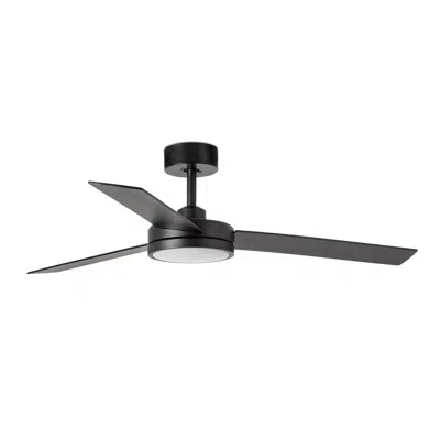Image for BARTH Black ceiling fan
