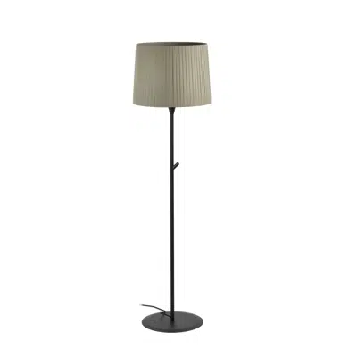 bild för SAMBA Black/ribbon green floor lamp