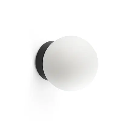 Image for PING Black wall/ceiling lamp