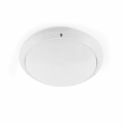 Obrázek pro DAKRON White celing lamp