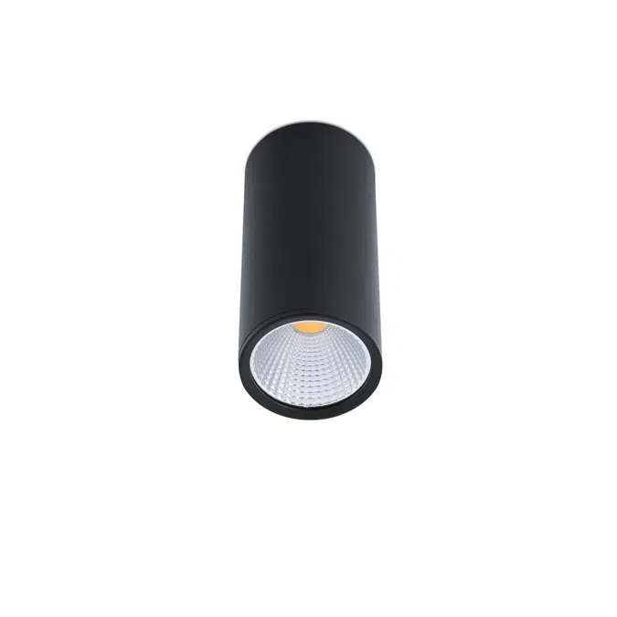 BIM objects - Free download! REL 75 Black ceiling lamp | BIMobject