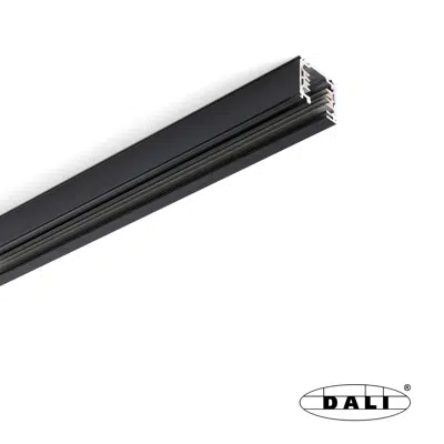 Image pour RAIL TRIPHASÉ DALI 2m NOIR