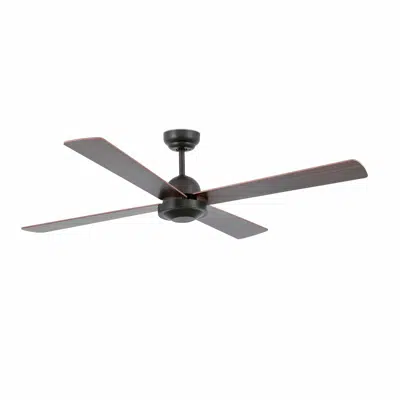 Image pour IBIZA L Ventilateur rouille