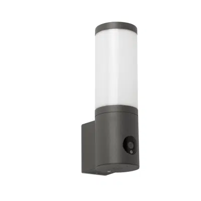 Obrázek pro ORWELL Dark grey wall lamp with camera