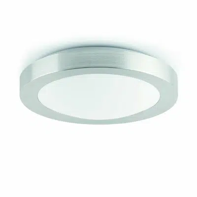 Obrázek pro LOGOS 350 2L Grey ceiling lamp