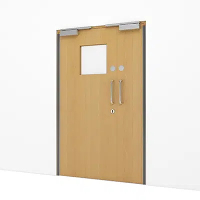 Image for Timber Door, Select Hospital - Double