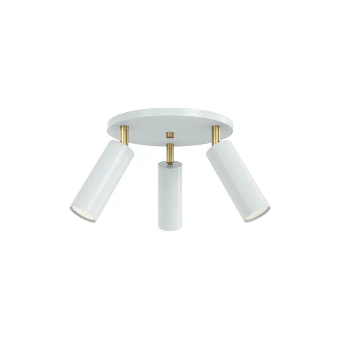 Color Pose Flush Mount