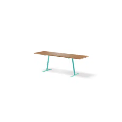 Image for Table PONGO accessible - PON211