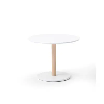 Image for Common Table H45