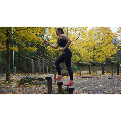 Image for Wooden Outdoor Gym Steps