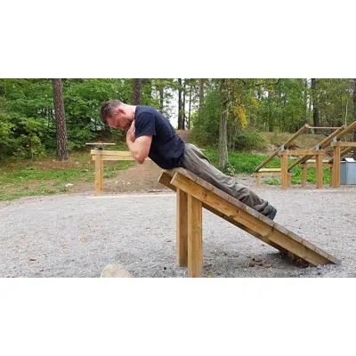 imagem para Wooden Outdoor Gym Back Lift