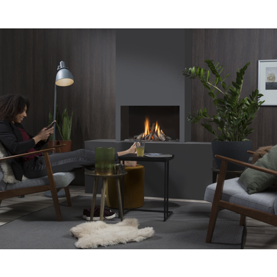 Image for Summum 70 F: Single-Sided Gas Fireplace