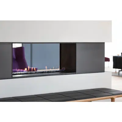 Image for H Series: See-Through Gas Fireplace