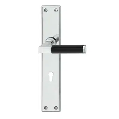 HAFELE Wooden Swing Door Lever Handle INT.FR.DHS BRASS CHR.POL. L 이미지