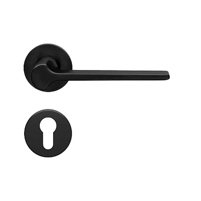 HAFELE Wooden Swing Door Lever Handle PC HANDLE SET BR135x52mm