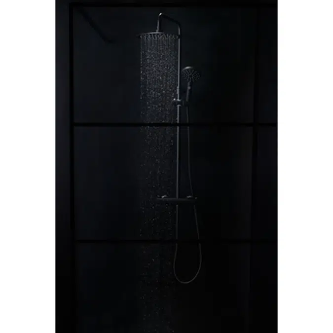 Shower Wall Black 100 cm