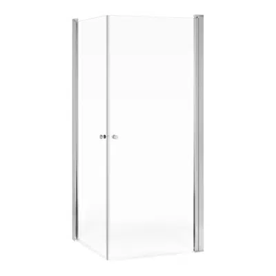 Shower door Square 100