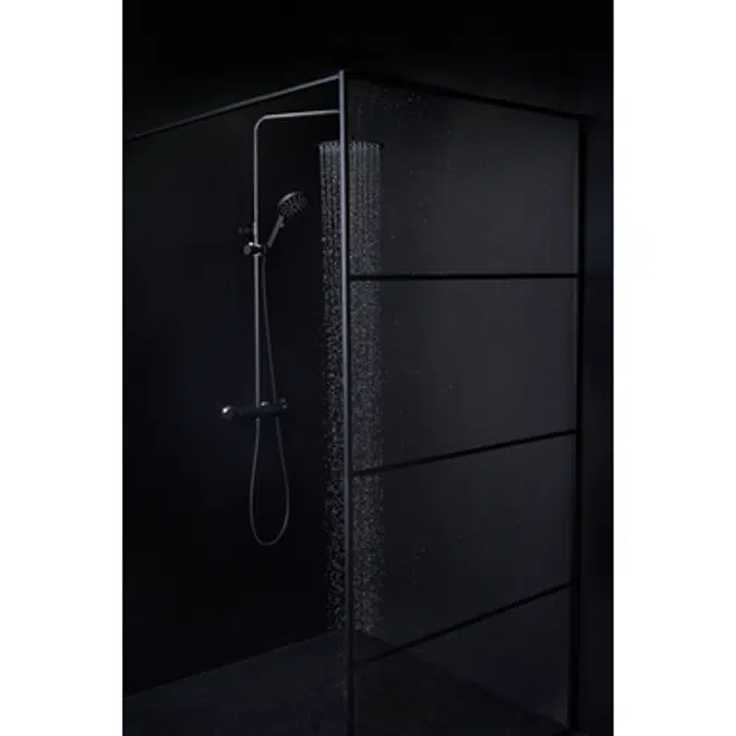 Shower Wall Black 140 cm