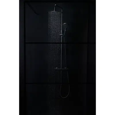 Shower Wall Black 80 cm
