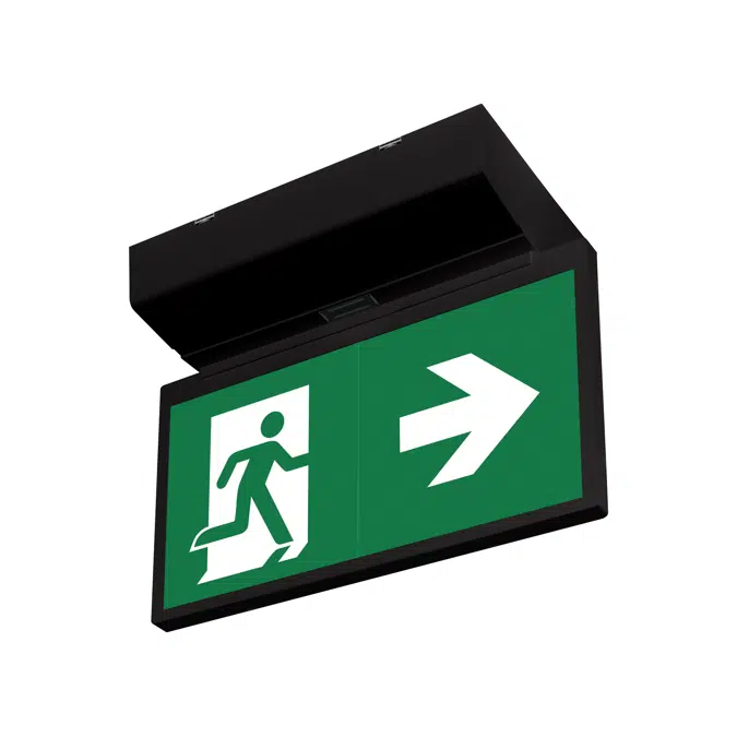 Elya plafond emergency lighting